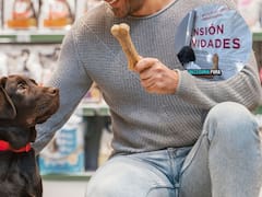 Atención veterinarios | El Gobierno inició operativos de inspección en clínicas y pet shops denunciados por sus clientes