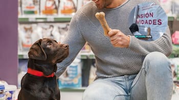 Atención veterinarios | El Gobierno inició operativos de inspección en clínicas y pet shops denunciados por sus clientes