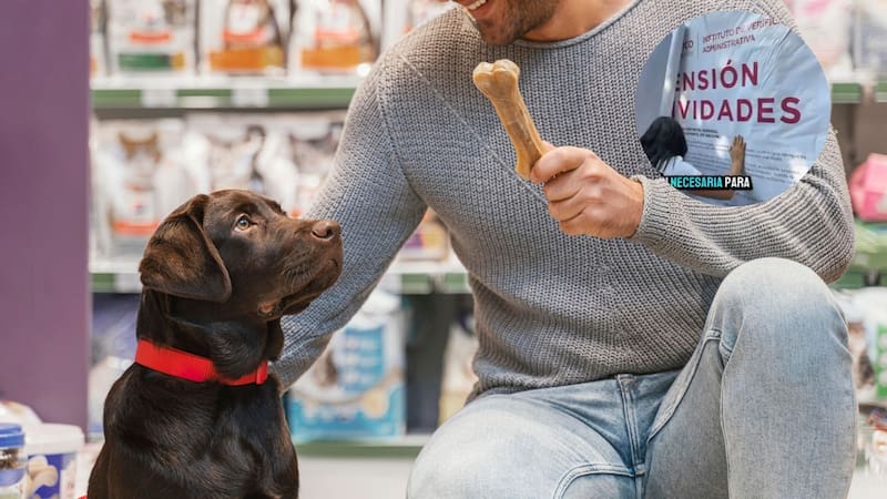 Gobierno refuerza vigilancia para garantizar bienestar animal.