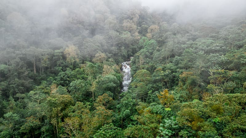 Paisaje con una cascada de agua fría en medio del bosque nuboso de la zona turística de San Gerardo de Rivas cerca del río Chirripo en Costa Rica.