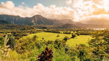 No es CDMX ni Estado de México: esta es la ciudad con mayor contaminación en el mundo y donde peor se vive