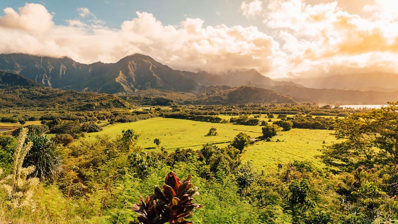 No es CDMX ni Estado de México: esta es la ciudad con mayor contaminación en el mundo y donde peor se vive