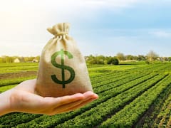 La apuesta al comercio exterior: cuánto cayó la presión fiscal con el recorte de las retenciones