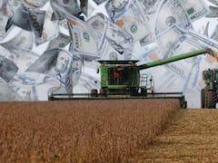 El Gobierno oficializó la reducción de retenciones al agro e introdujo una sorpresa para un sector clave