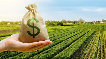 El Gobierno oficializó la reducción de retenciones al agro e introdujo una sorpresa para un sector clave