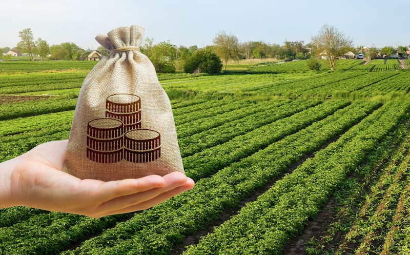 El laberinto del agro y la sincronicidad de los mercados globales. (Fuente: Archivo)
