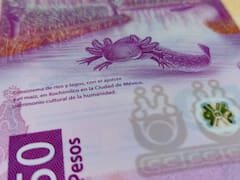 Dólar a peso mexicano HOY: a cuánto cerró la cotización de este lunes 15 de junio