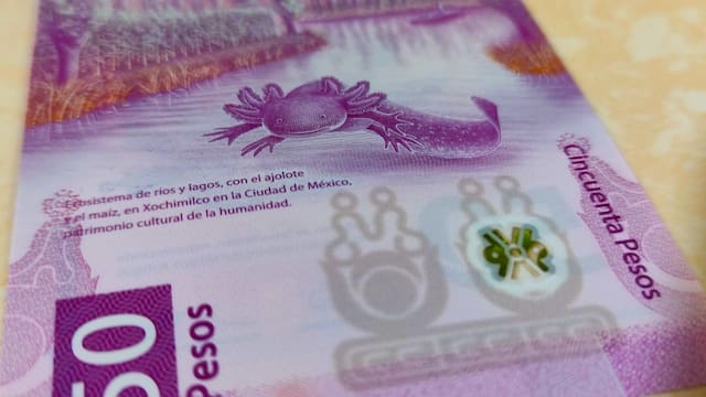 Precio del EURO a peso mexicano HOY miércoles, 5 de agosto: ¿a cuánto cerró su cotización?
