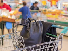 El Gobierno prohíbe revisiones e interrogatorios injustificados en comercios y condena el perfilamiento racial