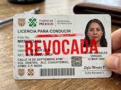 Oficial | Revocan licencias de conducir de manera permanente y no podrán volver a manejar nunca más si cometen estas infracciones