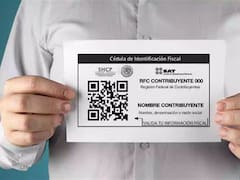 Revisa ahora mismo tu documento | El detalle de tu RFC que puede darte más tiempo para pagar impuestos al SAT