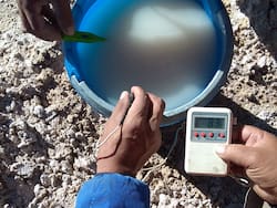 Un contrato de u$s 100 millones refuerza el avance de empresas chinas en el litio argentino