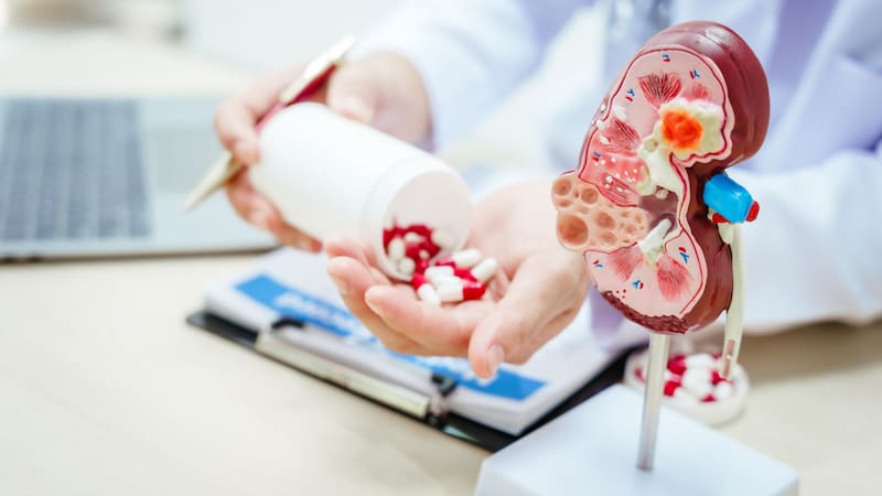 En Argentina, el 10% de la población convive con enfermedad renal crónica y no lo sabe. Foto (Archivo)