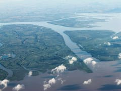 El río más importante de América Latina está contaminado de ibuprofeno, paracetamol y sildenafil: ya hay una grave alerta sanitaria