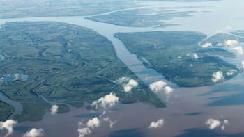 El río más importante de América Latina está contaminado de ibuprofeno, paracetamol y sildenafil: ya hay una grave alerta sanitaria