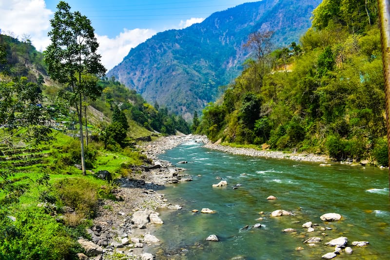 El río Rangeet, en la India, uno de los cursos de agua donde habita el Chel Snakehead en estado silvestre.