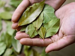 Una mina de oro en casa: cómo usar hojas de laurel para manifestar dinero, abundancia y buena suerte antes de Año Nuevo