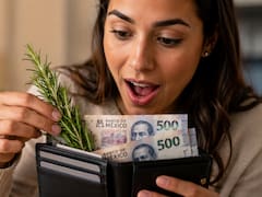 Guardar una hoja de romero en la billetera: por qué lo recomiendan para atraer dinero