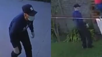 “Vos tenés una caja fuerte”: tres ladrones treparon por las paredes y asaltaron a una jueza en La Plata
