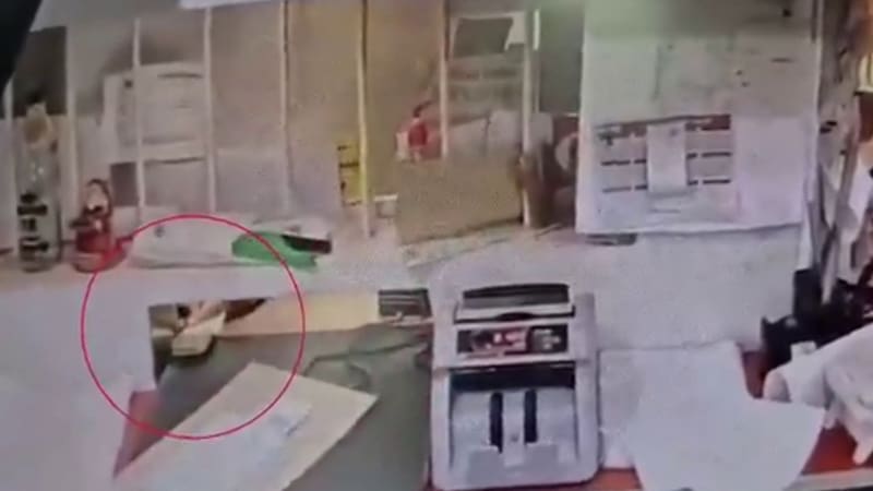 Video: así fue el robo de $1.500.000 por el que acusan al padre de Agostina Páez en Santiago del Estero.
