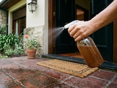 Rociar agua con canela en la entrada de una casa: por qué los expertos recomiendan hacerlo y para qué sirve