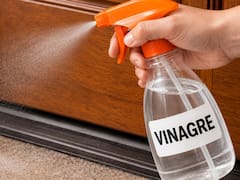 Rociar la entrada de una casa con vinagre: por qué los expertos lo recomiendan y para qué sirve hacerlo
