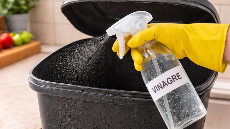 El vinagre blanco y el agua oxigenada (peróxido de hidrógeno) tienen propiedades antibacterianas y desodorizantes. Imagen: archivo.