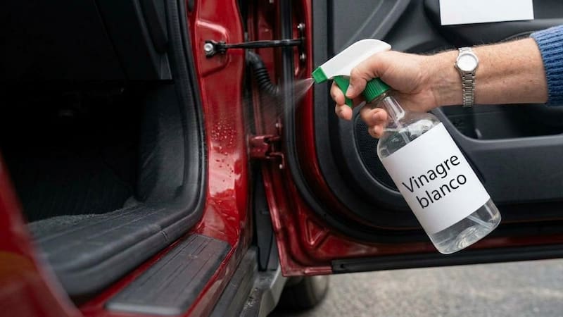 Rociar vinagre blanco en el auto.