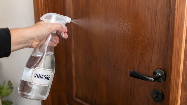 Rociar vinagre blanco sobre la puerta de madera: para qué sirve y cuándo conviene hacerlo