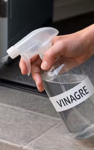 Rociar vinagre en la entrada de una casa: para qué sirve y por qué lo recomiendan los expertos