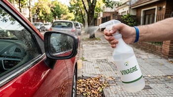 Rociar vinagre en los espejitos del coche: por qué los expertos recomiendan hacerlo y para qué sirve