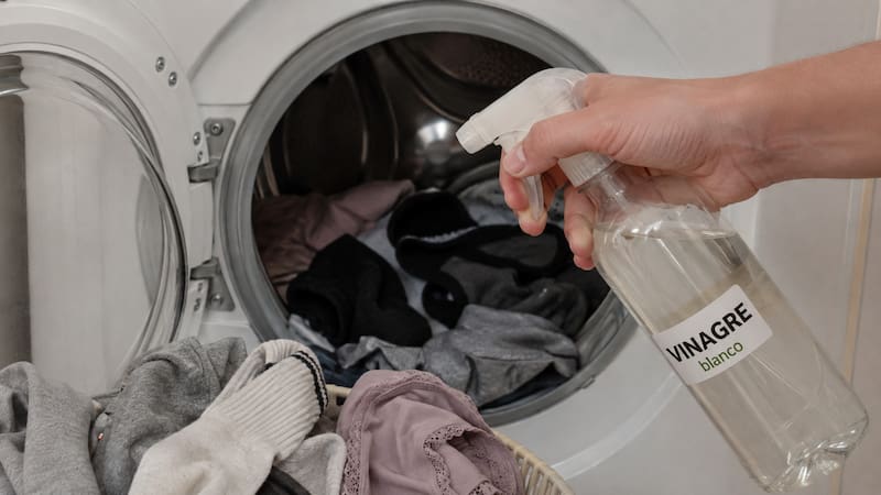 El vinagre blanco se convirtió en un recurso habitual para reforzar el lavado de prendas que suelen acumular sudor y olores, como los calcetines y la ropa interior.