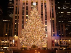 Nueva York ya eligió su árbol de Navidad 2026: tiene 75 años, mide 23 metros y contará con más de 50,000 luces LED y una estrella de más de 400 kilos repleta de cristales