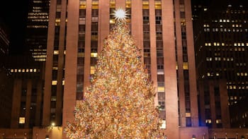 Nueva York ya eligió su árbol de Navidad 2026: tiene 75 años, mide 23 metros y contará con más de 50,000 luces LED y una estrella de más de 400 kilos repleta de cristales