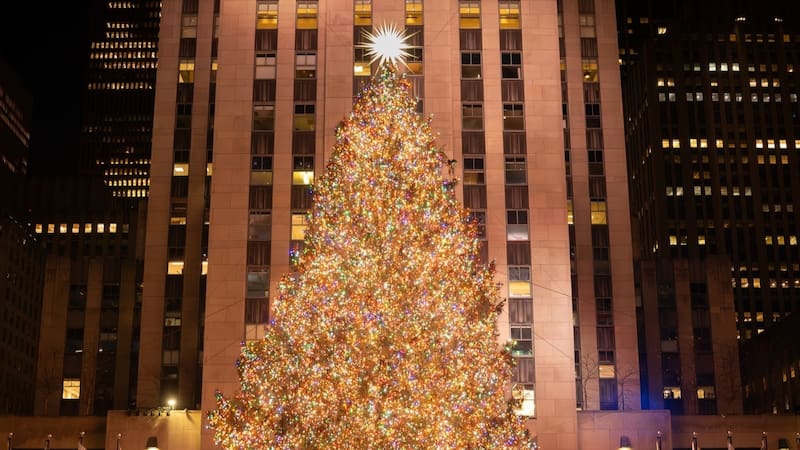 El Rockefeller Center confirmó los detalles del árbol que iluminará Manhattan durante las fiestas de fin de año.