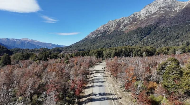 Se repavimentará los 58 kilómetros de la Ruta Provincial 65.