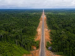 Construyó una ruta de 85 kilómetros que atraviesa Latinoamérica pero no tenía permiso: ahora deberá pagar decenas de miles de dólares