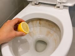Sacar el sarro del inodoro con limón: para qué sirve y por qué lo recomiendan