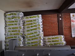 Gruma pierde 8% en la Bolsa mexicana tras decepcionar al mercado con sus cifras de 2025