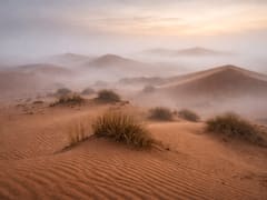 Parece ciencia ficción: capturan niebla en el desierto del Sahara y la convierten en miles de litros de agua