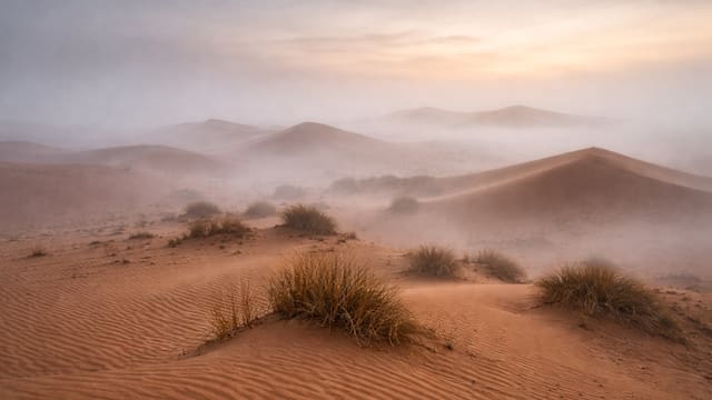 Parece ciencia ficción: capturan niebla en el desierto del Sahara y la convierten en miles de litros de agua