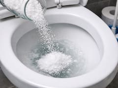 Tirar sal en el inodoro: por qué lo recomiendan y cada cuánto hay que hacerlo