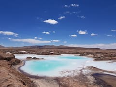 Mientras espera respuesta por el RIGI, Posco compra otro proyecto de litio argentino