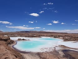 Mientras espera respuesta por el RIGI, Posco compra otro proyecto de litio argentino en un plan global de u$s 817 millones