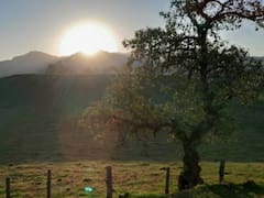 México descubrió un observatorio solar de 2,500 años: cómo funcionaba y para qué lo usaban