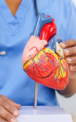 Ni caminata, ni bicicleta, ni gimnasio: el mejor ejercicio para cuidar el corazón y mejorar la circulación del cuerpo