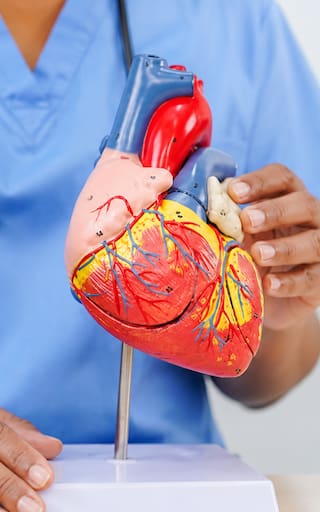Ni caminata, ni gimnasio, ni bicicleta: el ejercicio que ayuda a cuidar el corazón y mejorar la circulación
