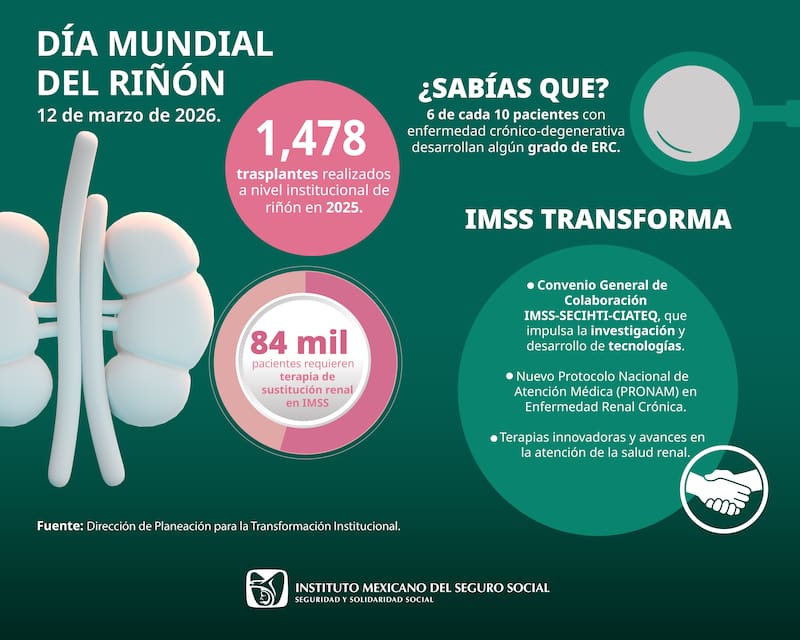 1478 trasplantes de riñones a nivel mundial se hicieron en el 2025 según el IMSS.