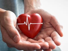 No es el corazón: el órgano que podría marcar la diferencia en la longevidad, según una nueva investigación