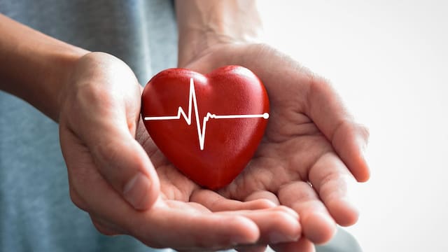 No es el corazón: el órgano que podría marcar la diferencia en la longevidad, según una nueva investigación
